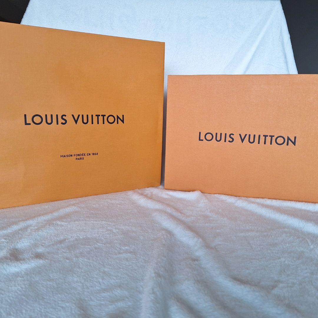 Louis Vuitton Pose