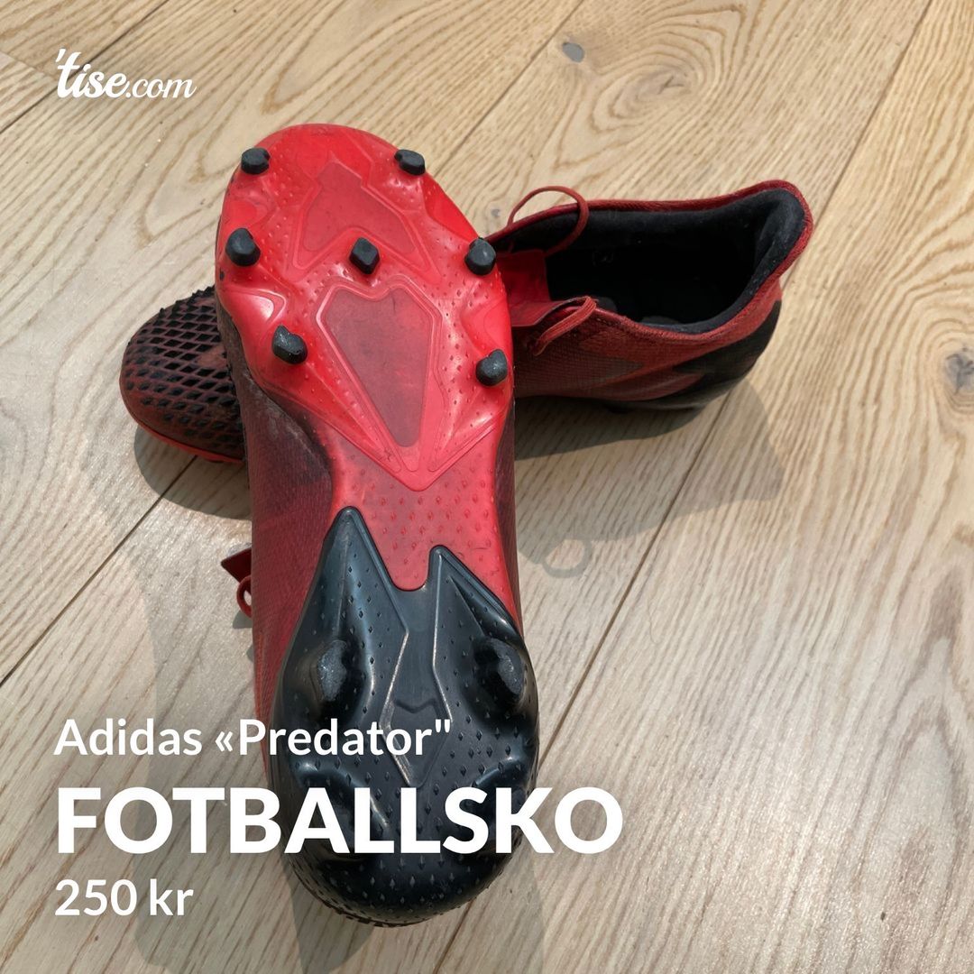 Fotballsko