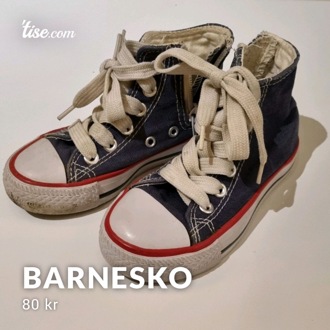 Barnesko