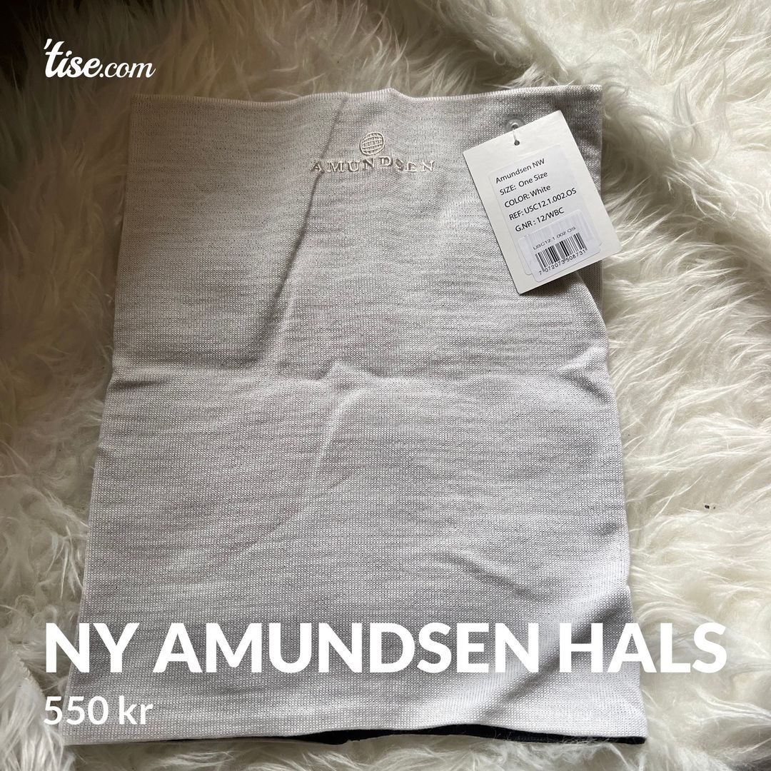 Ny Amundsen hals