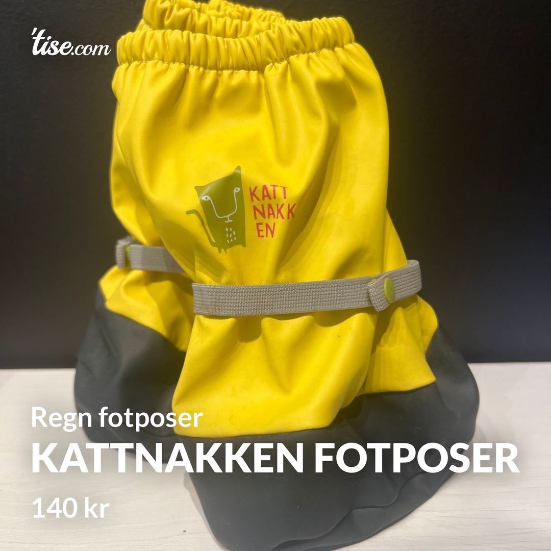 Kattnakken fotposer