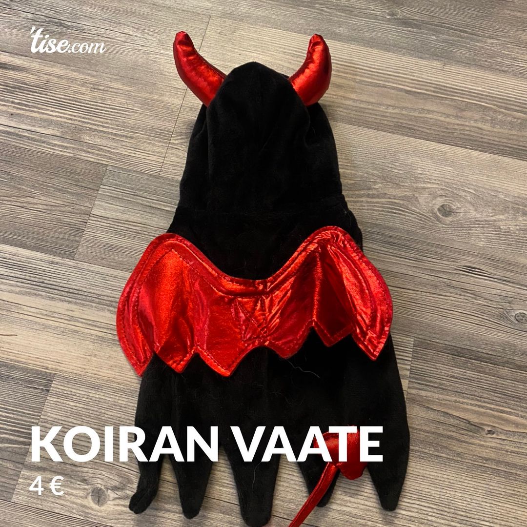 Koiran vaate