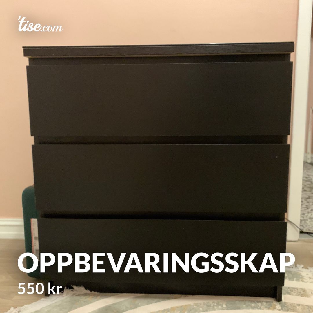 Oppbevaringsskap