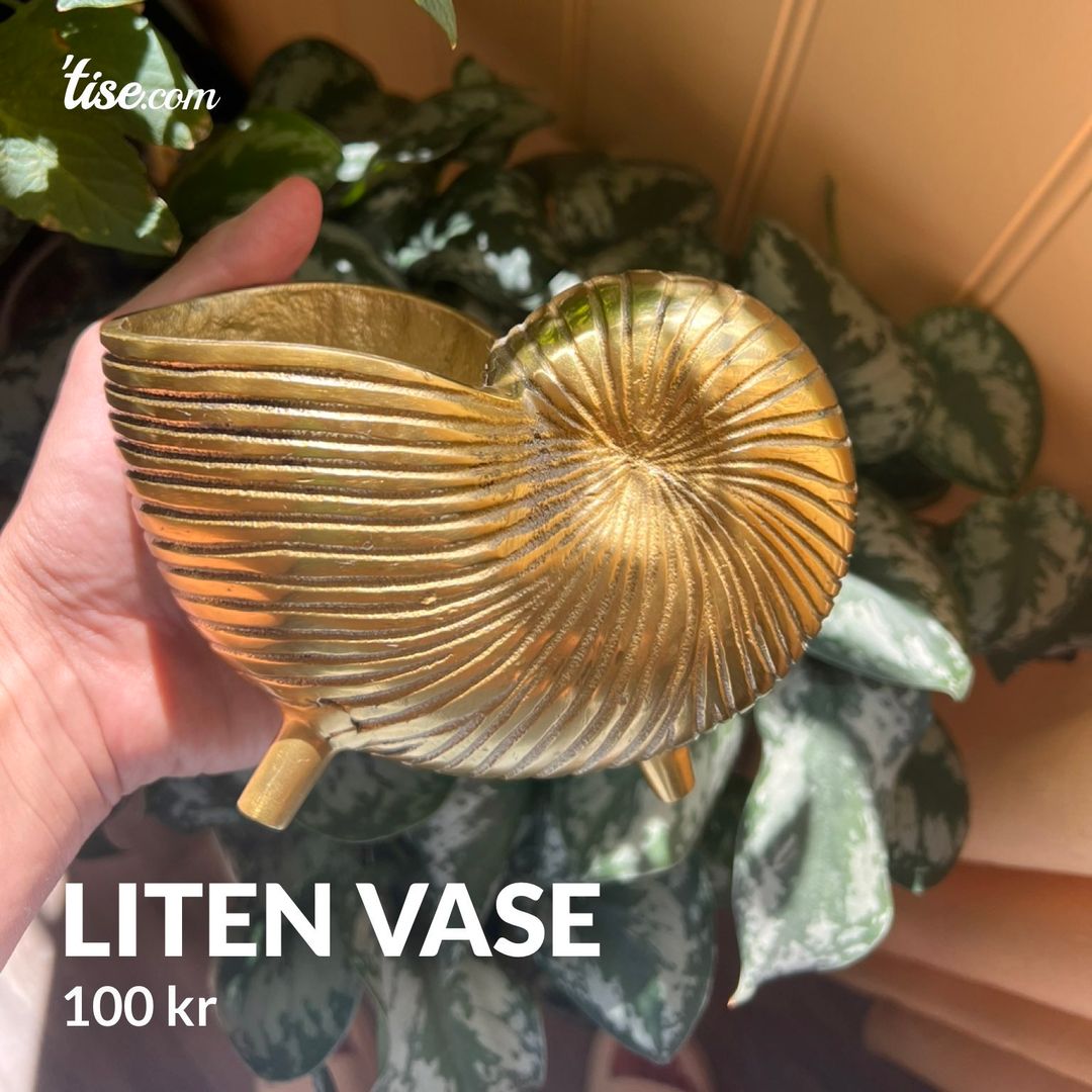 Liten vase