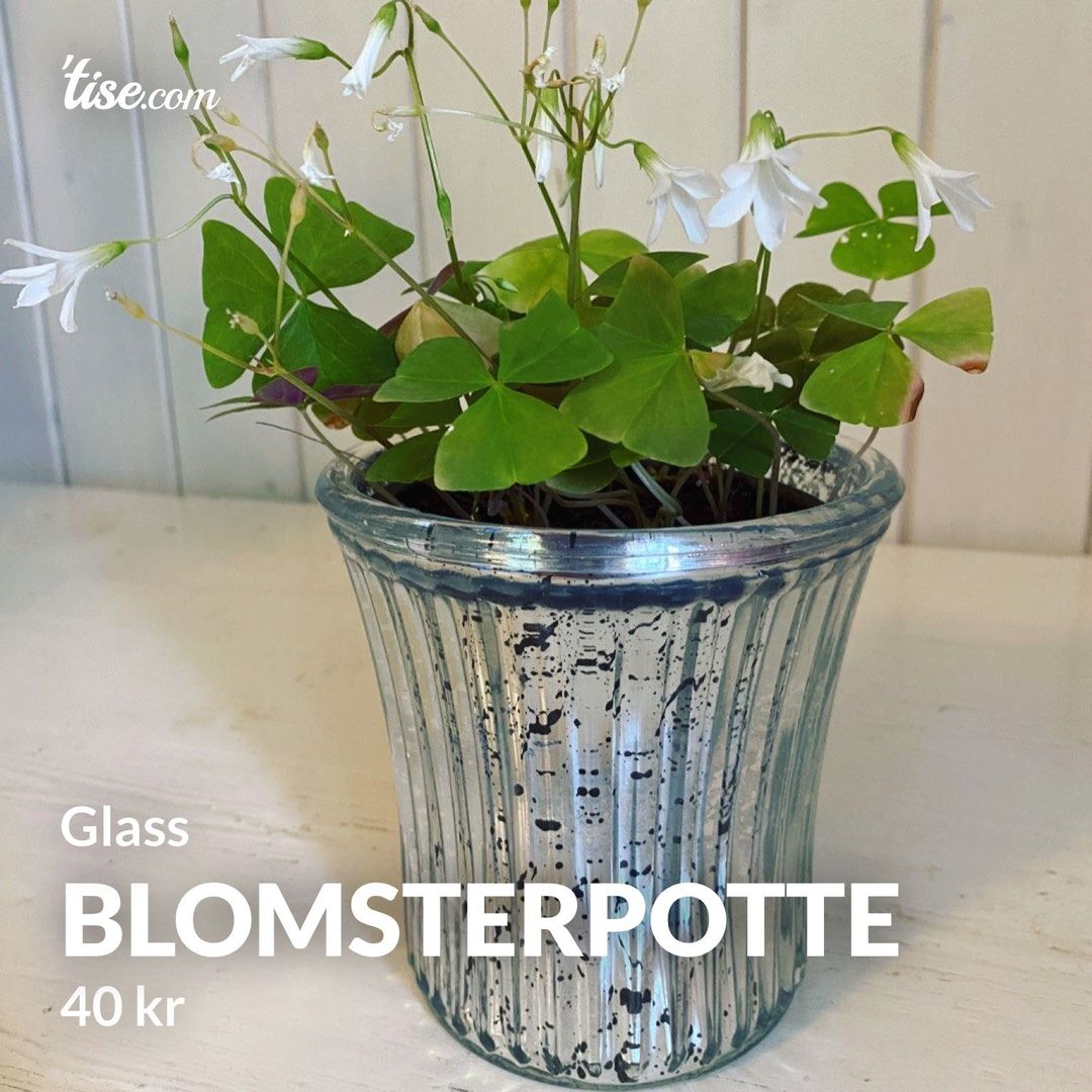 Blomsterpotte