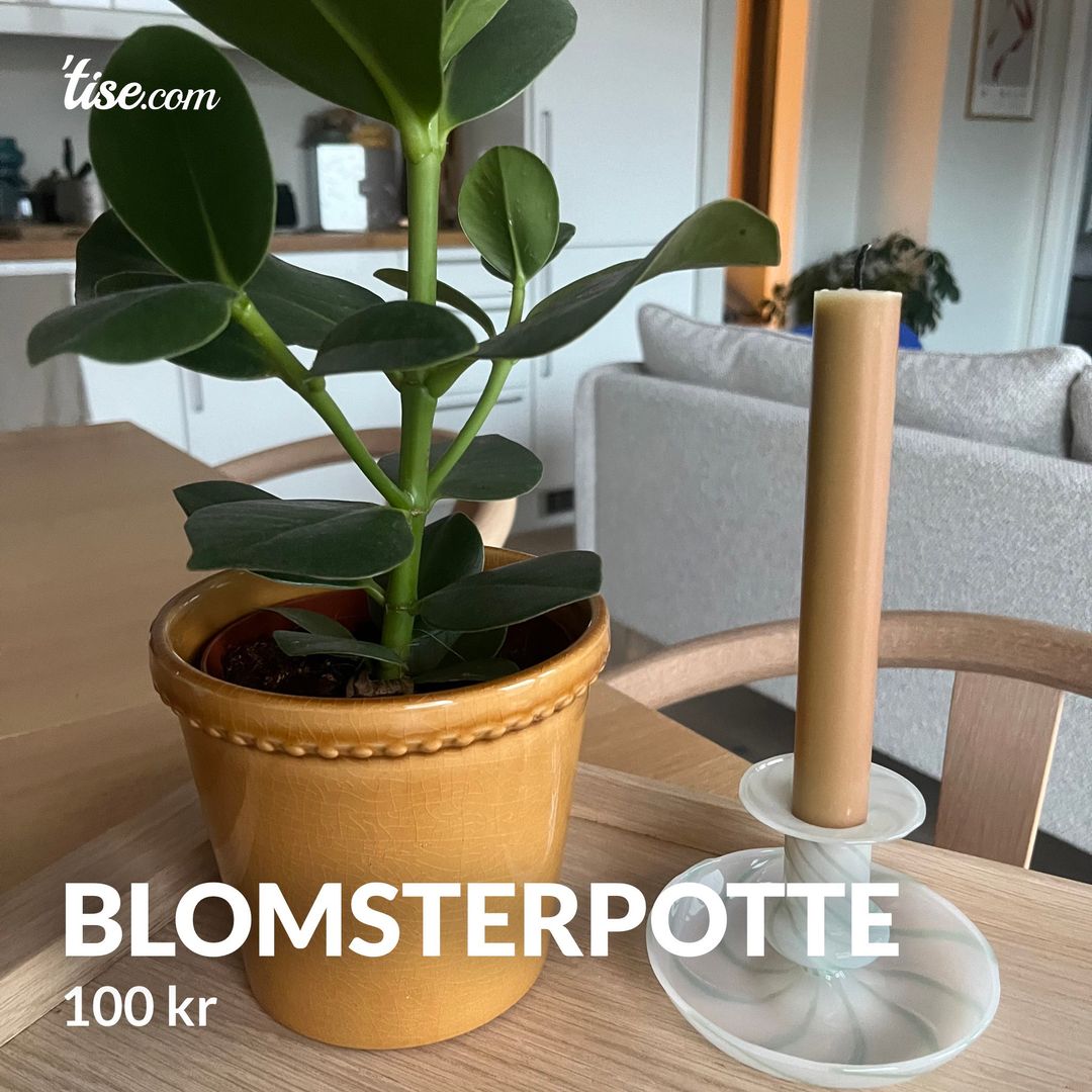 Blomsterpotte