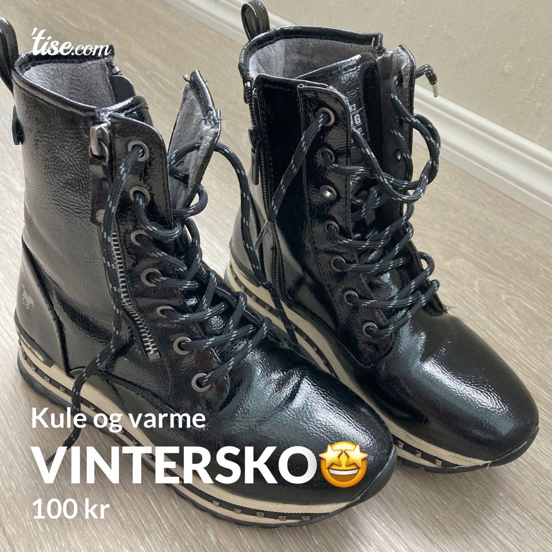 Vintersko🤩