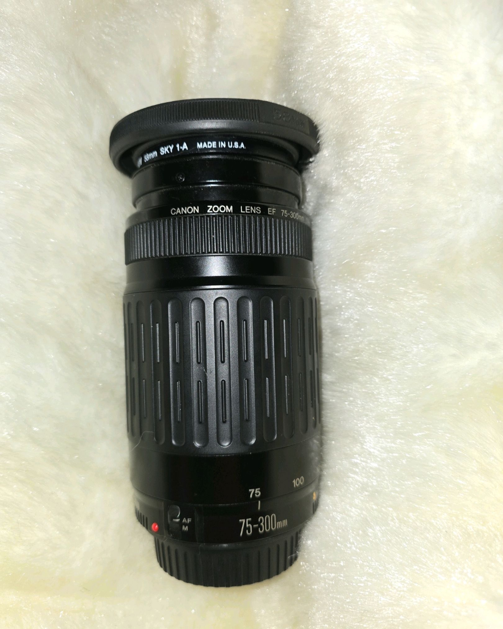 canon 75-300mm 1:4-5