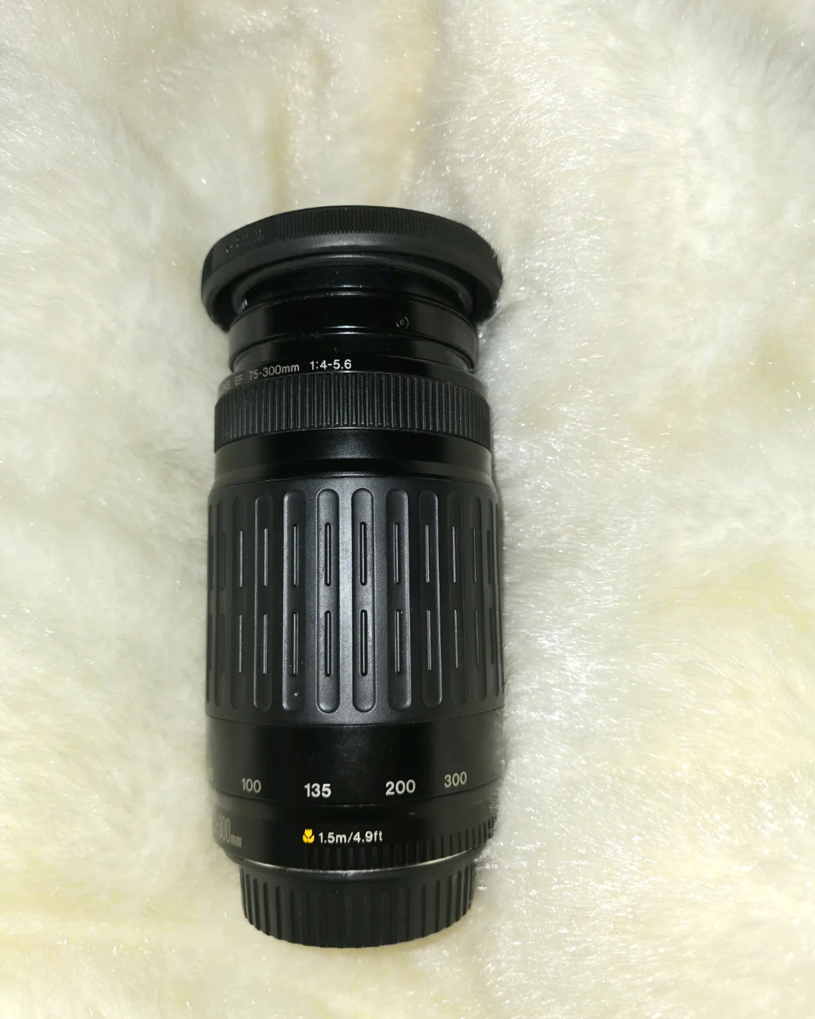 canon 75-300mm 1:4-5