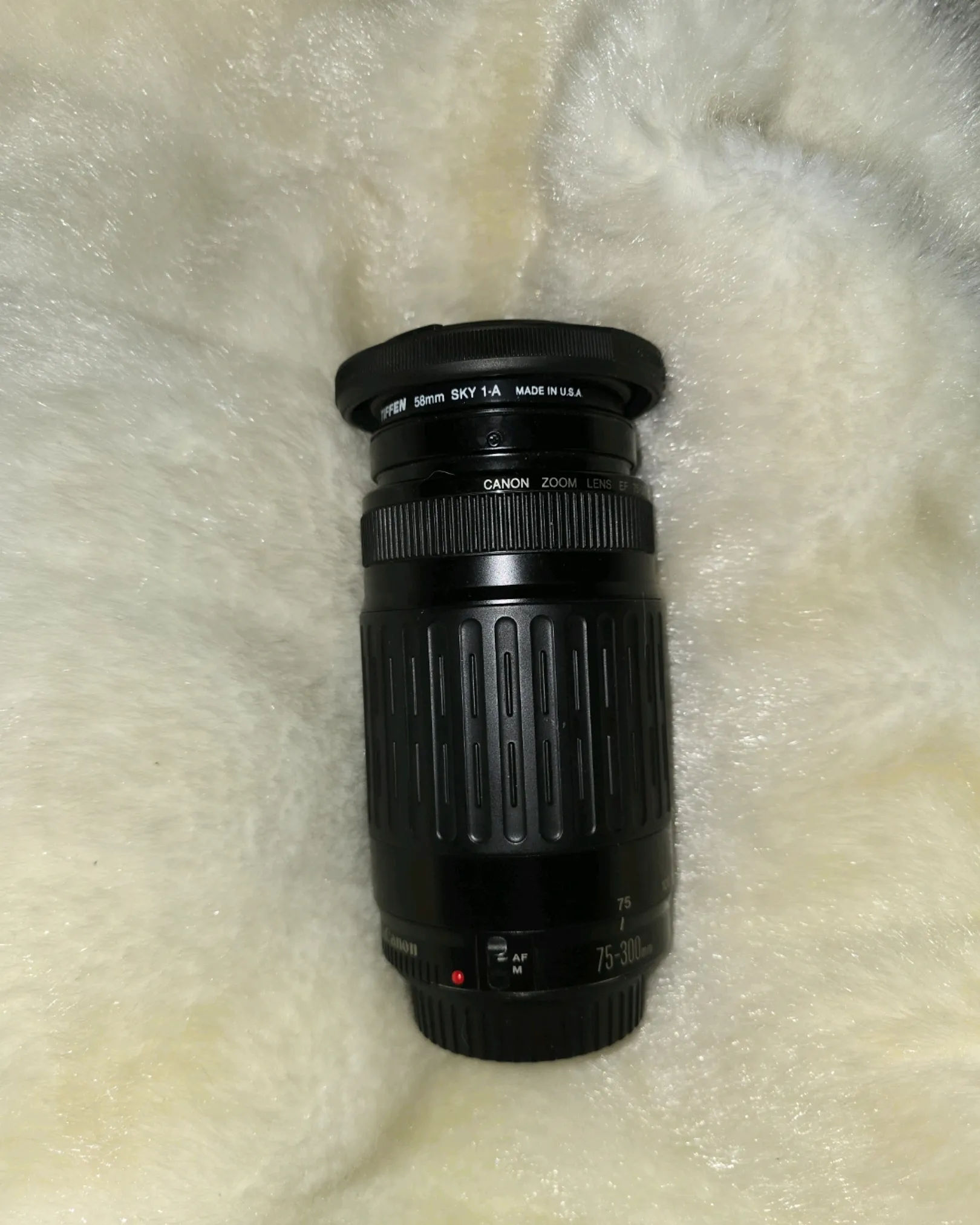 canon 75-300mm 1:4-5