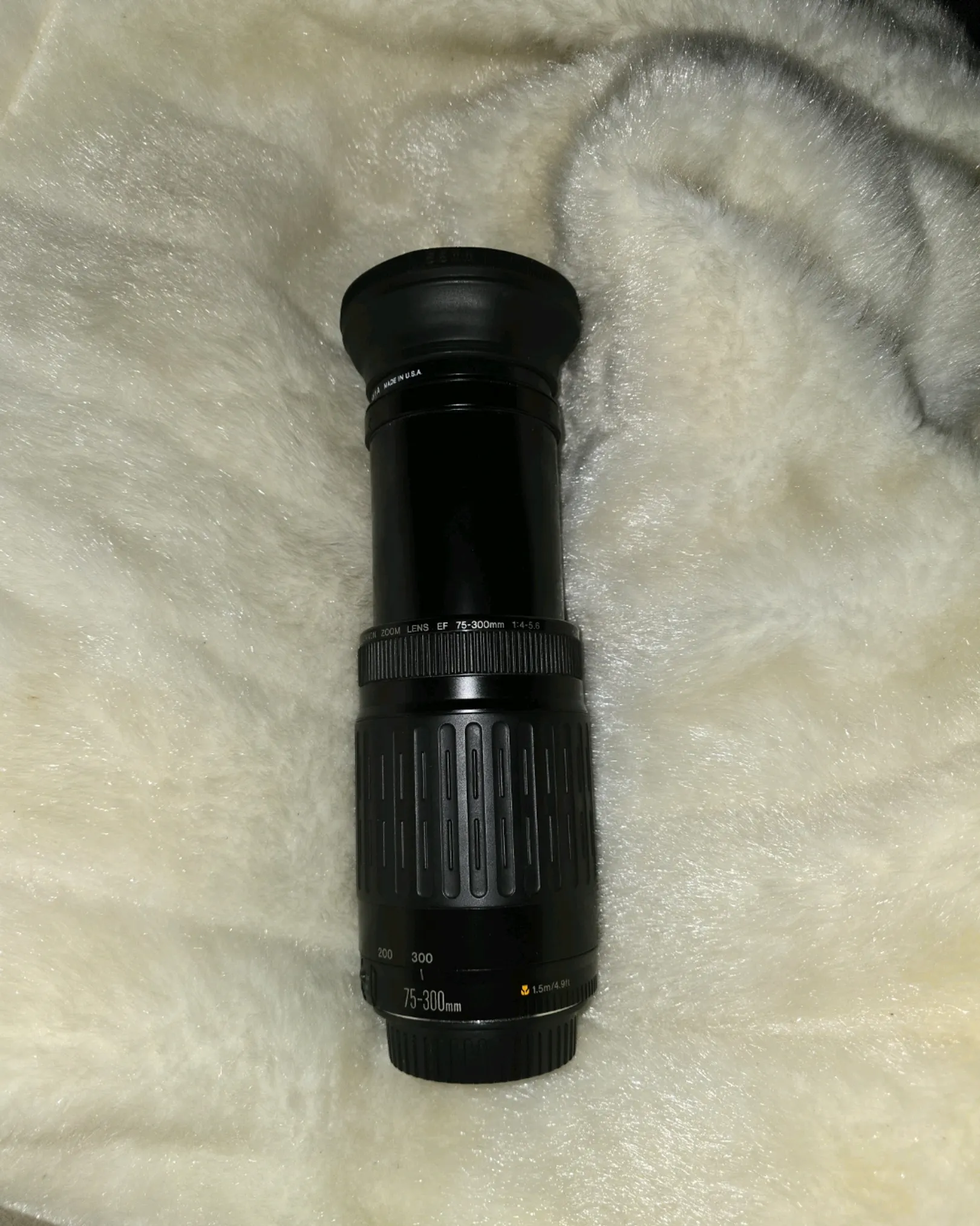 canon 75-300mm 1:4-5