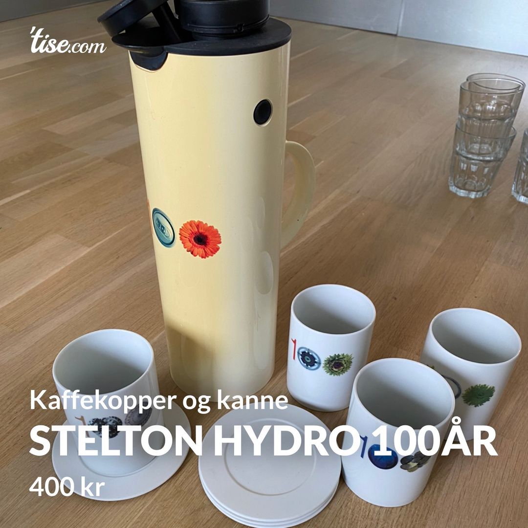 Stelton Hydro 100år