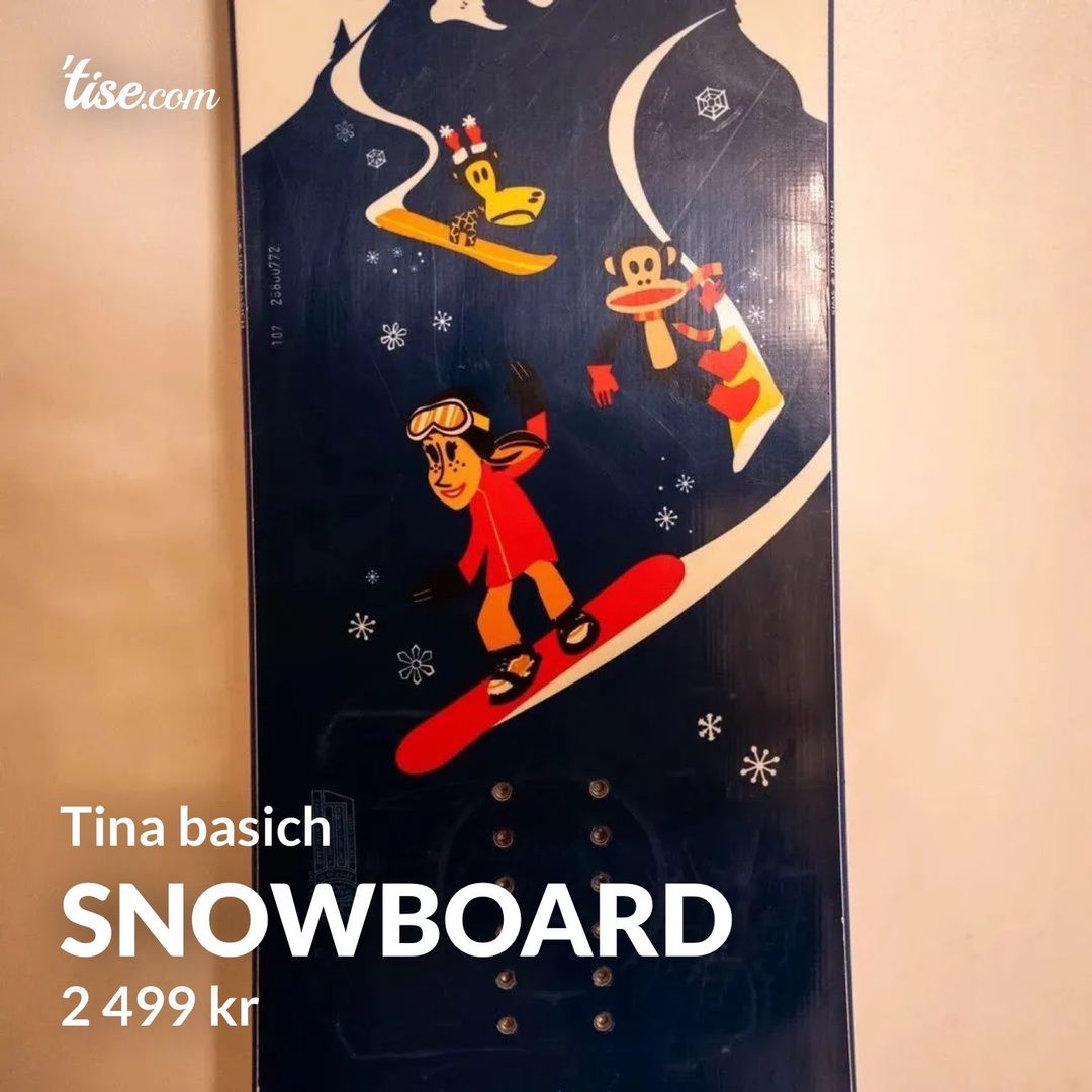 Snowboard