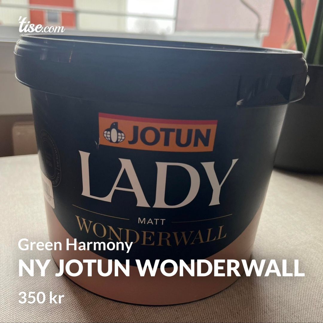 Ny Jotun Wonderwall