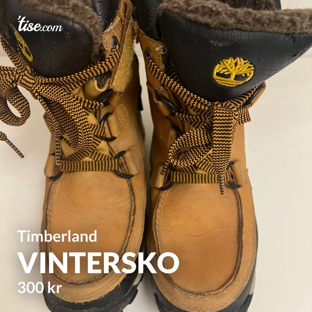 Vintersko