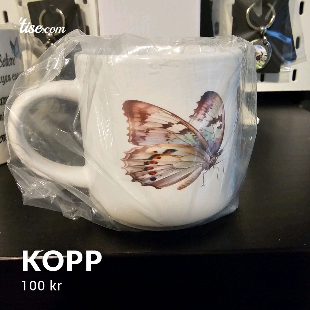 Kopp