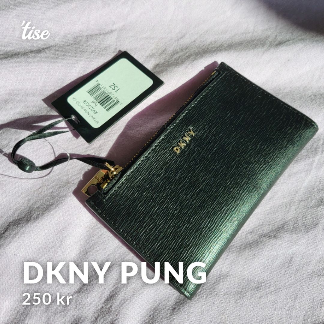 DKNY Pung