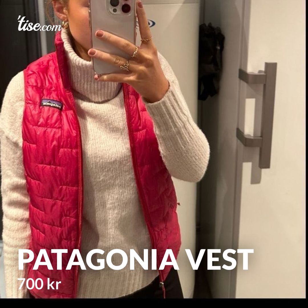 Patagonia vest