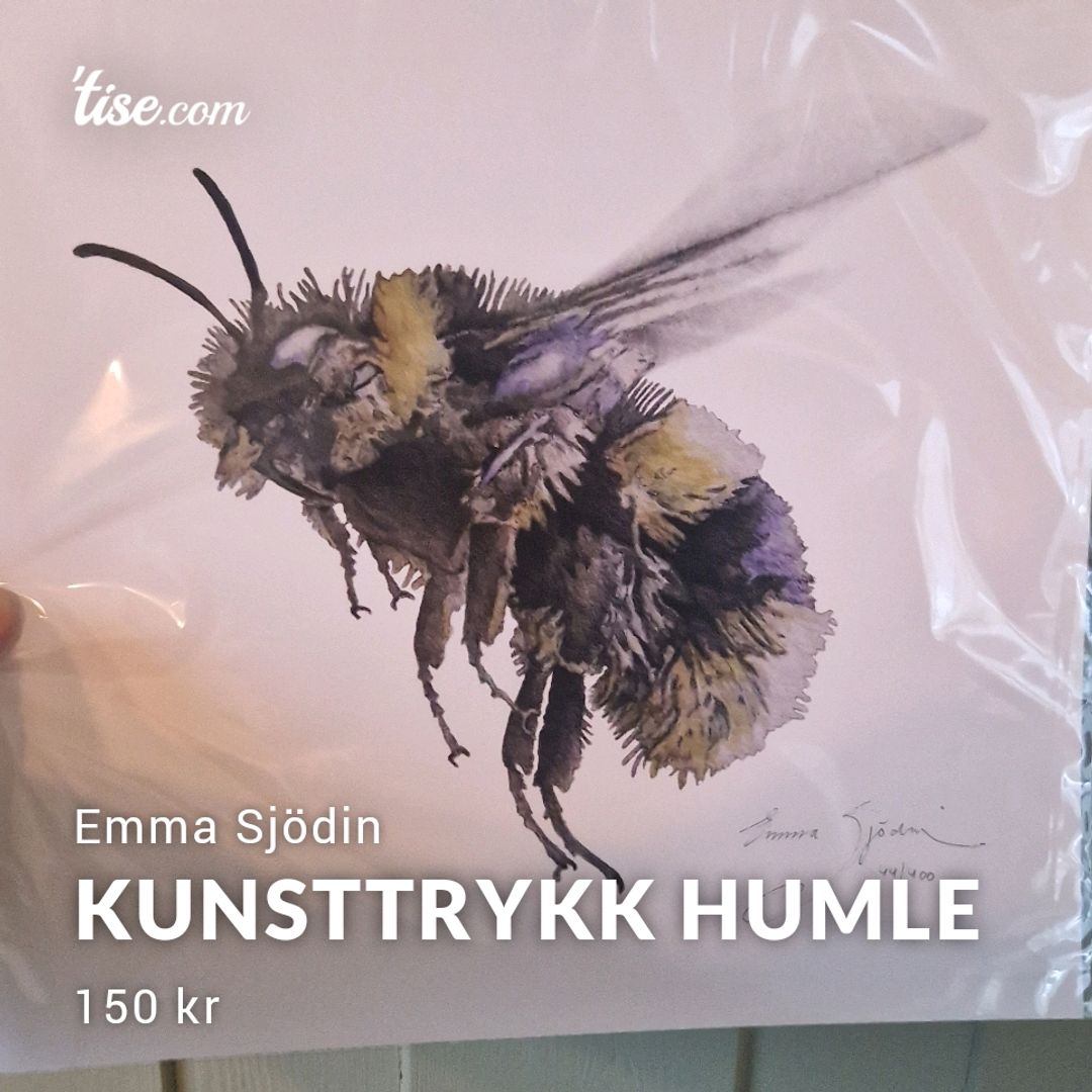 Kunsttrykk Humle