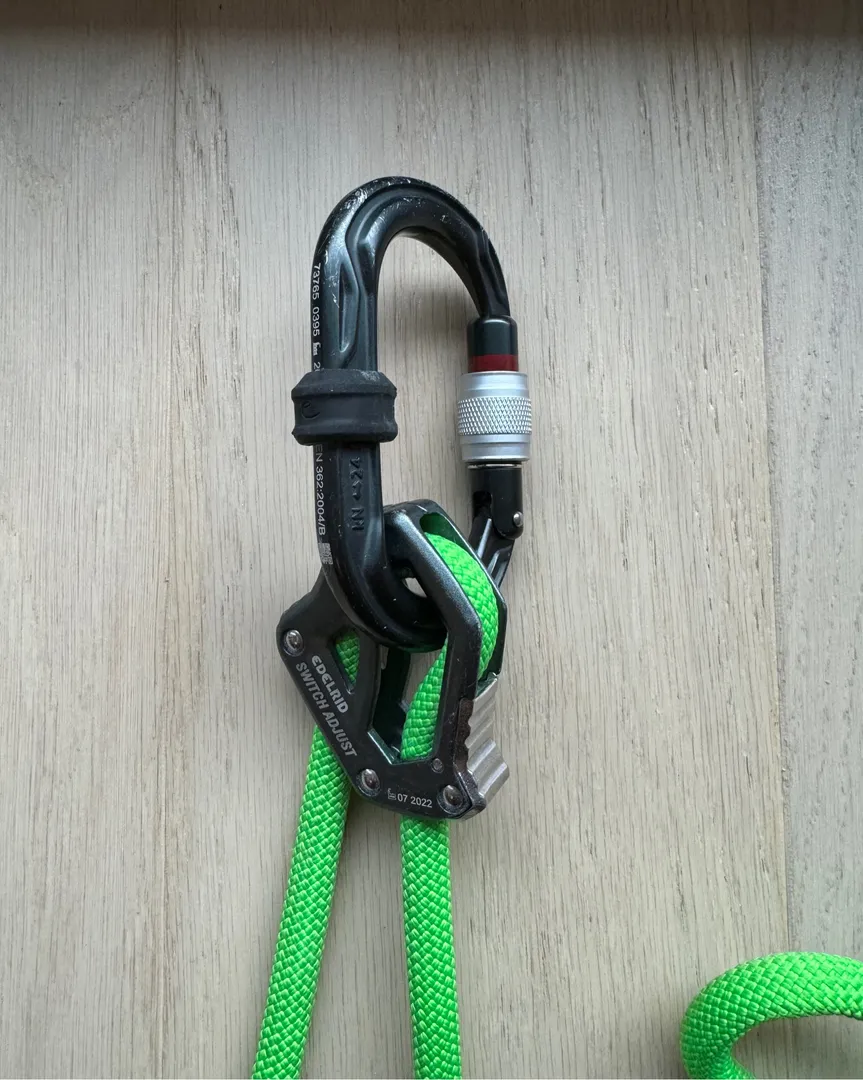 Edelrid switch