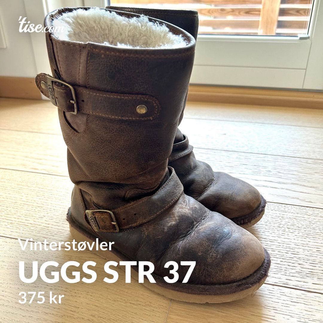 UGGs str 37