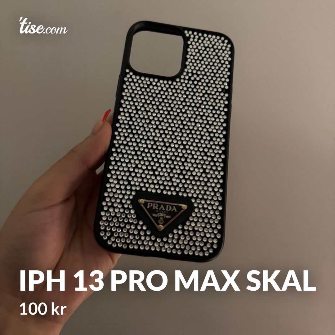 IPH 13 PRO MAX SKAL