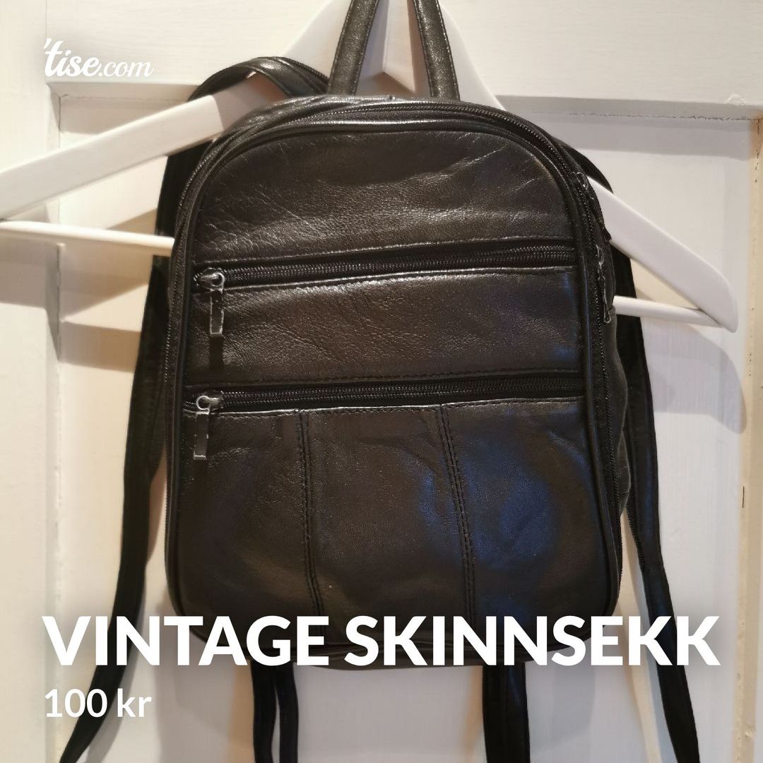 Vintage skinnsekk