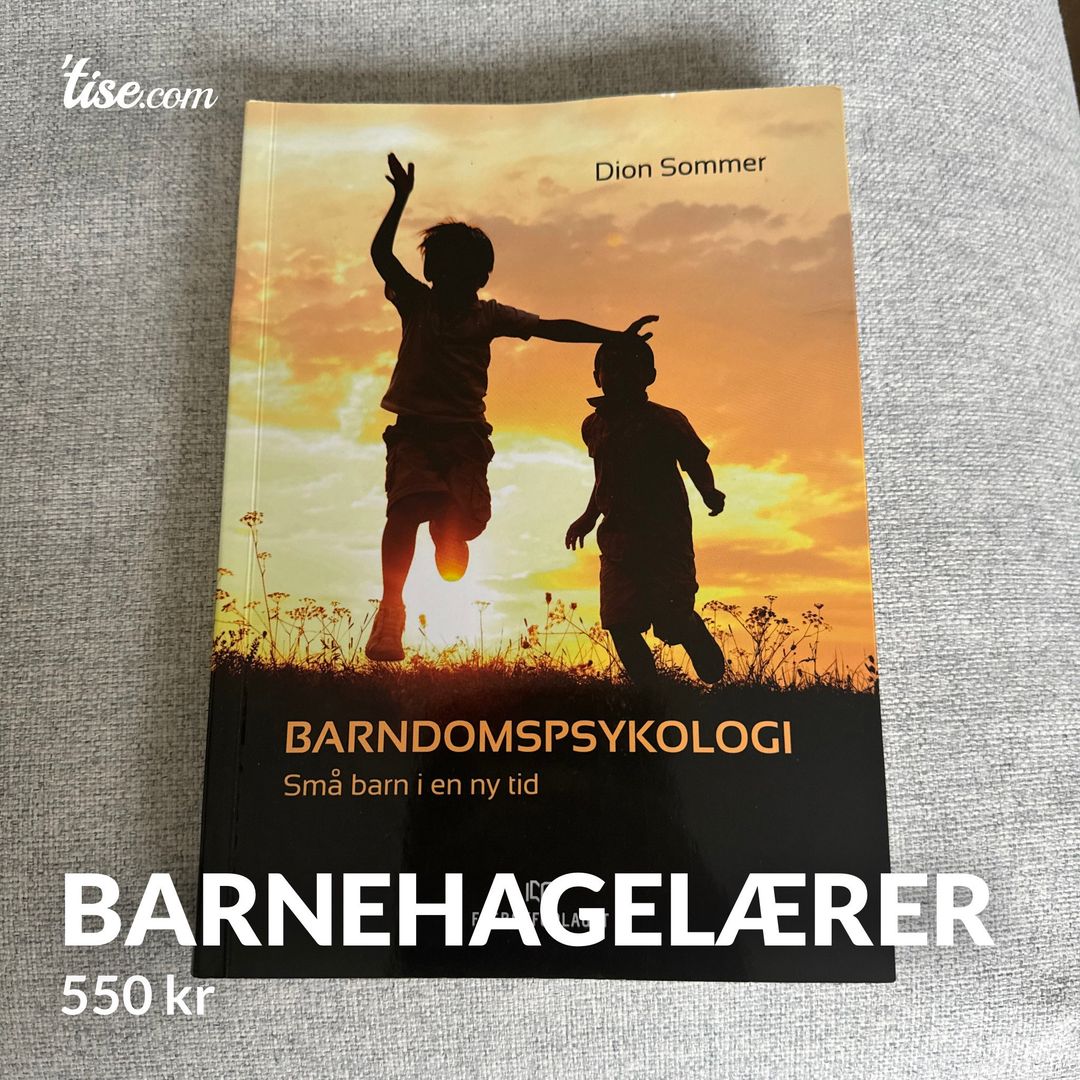 Barnehagelærer