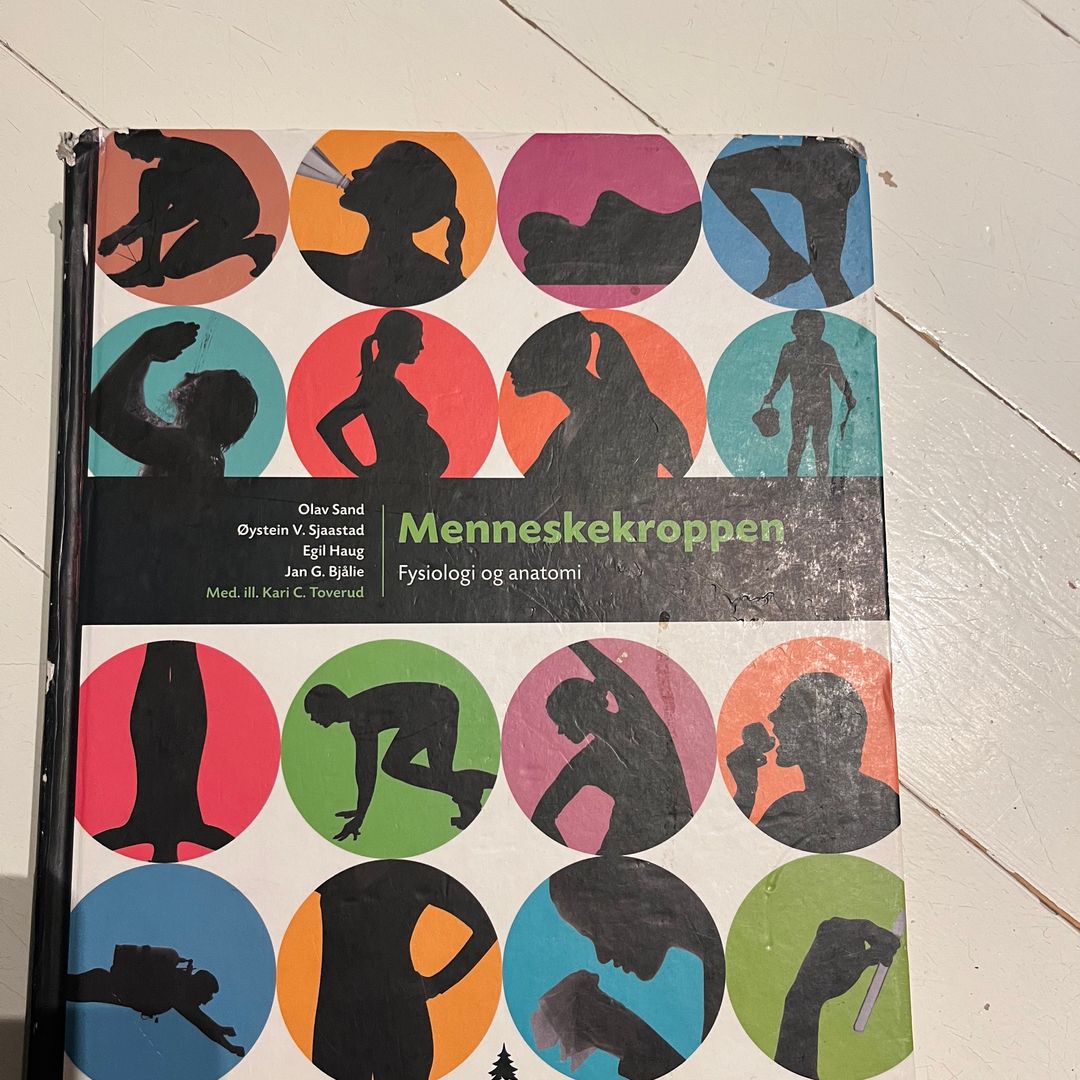 Menneskekroppen