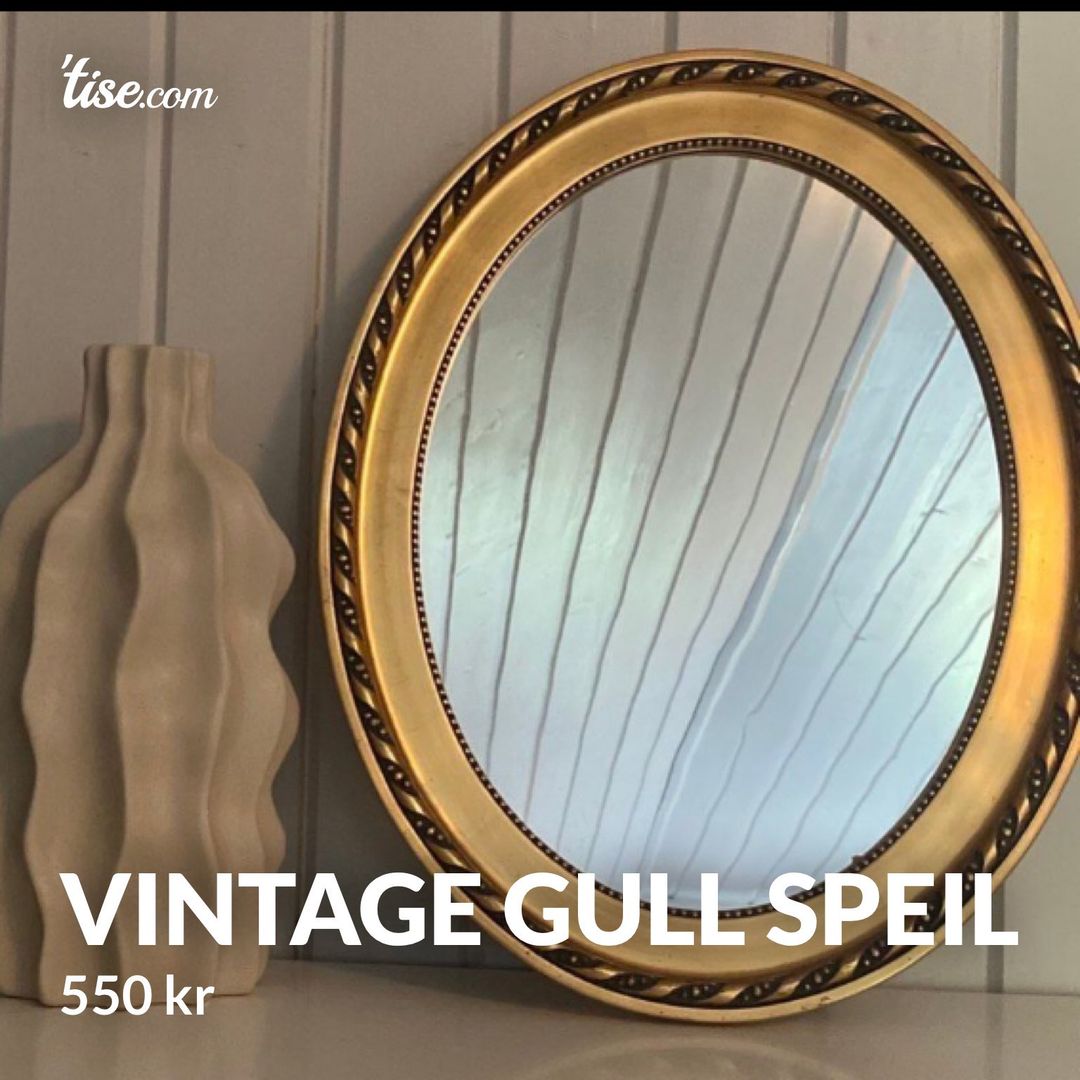 Vintage gull speil