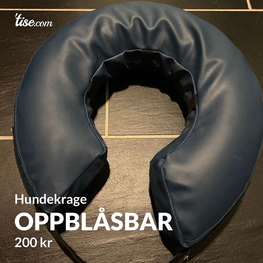 Oppblåsbar