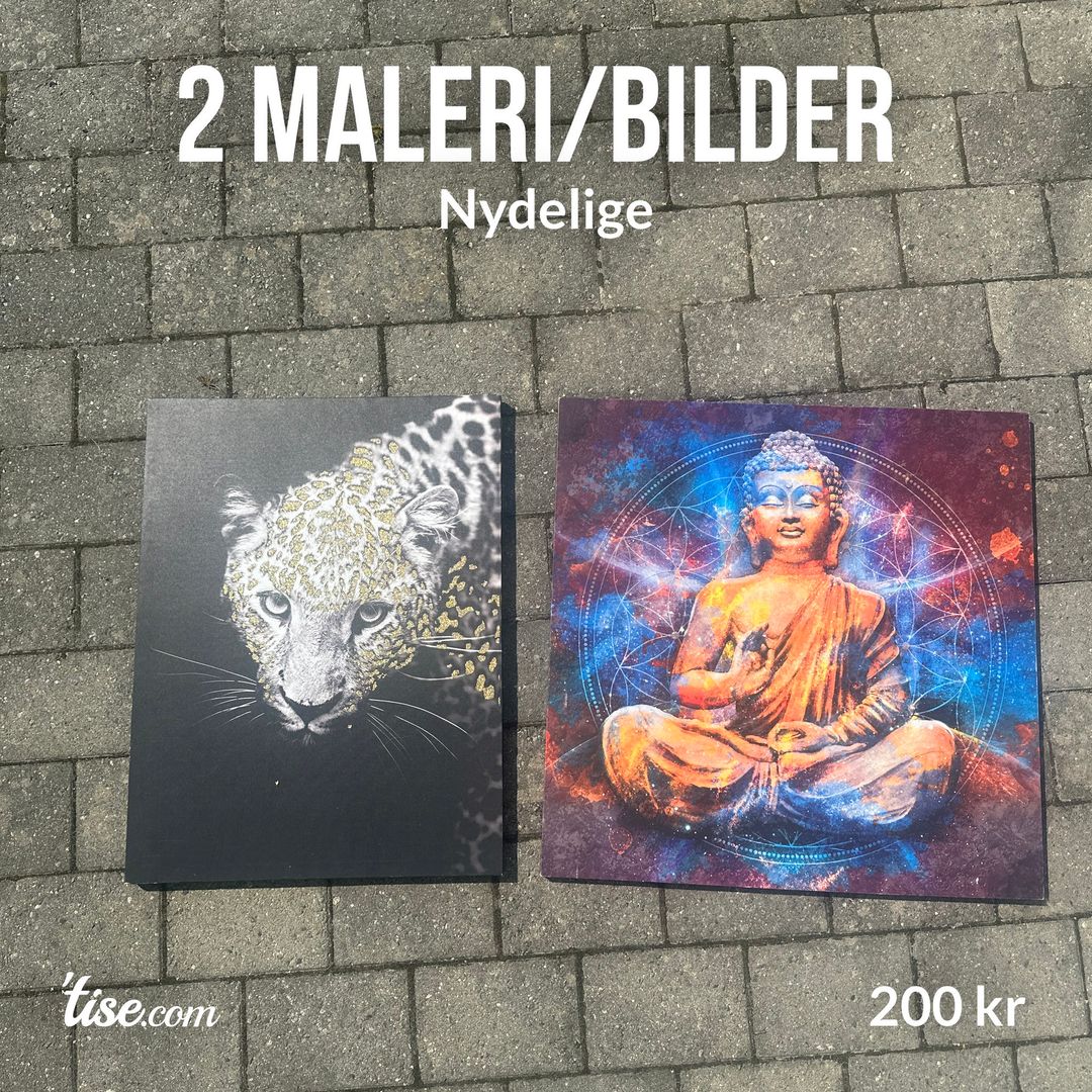 2 maleri/bilder