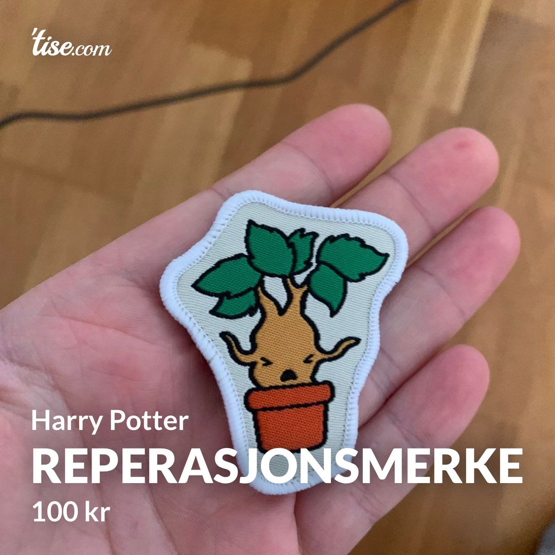 Reperasjonsmerke