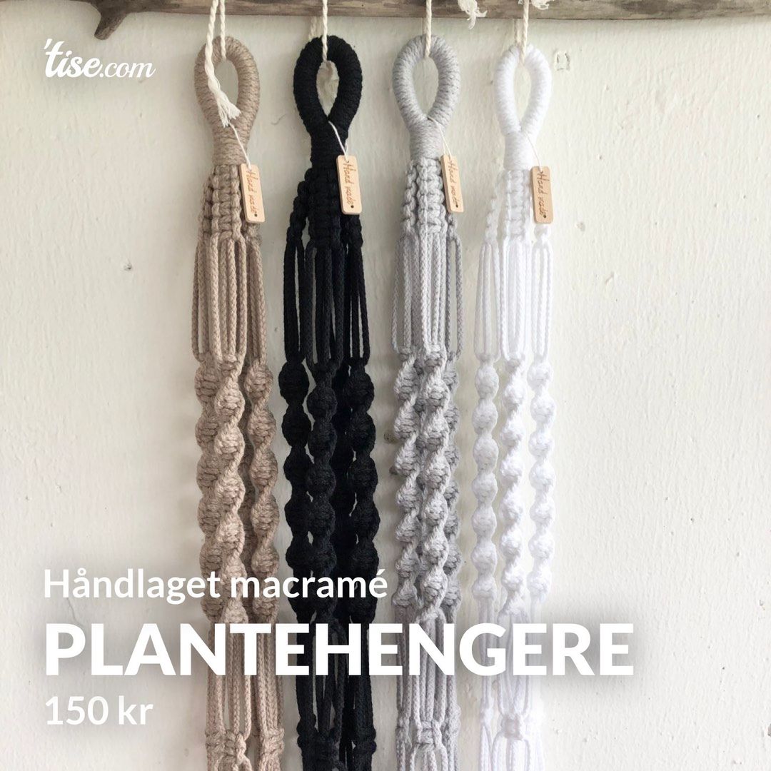 Plantehengere