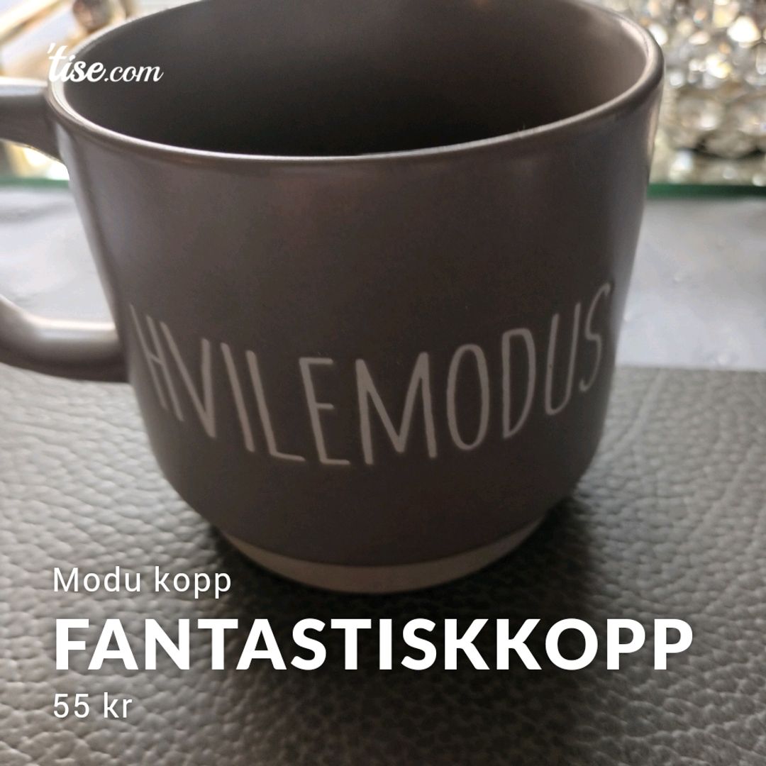 FantastiskKopp