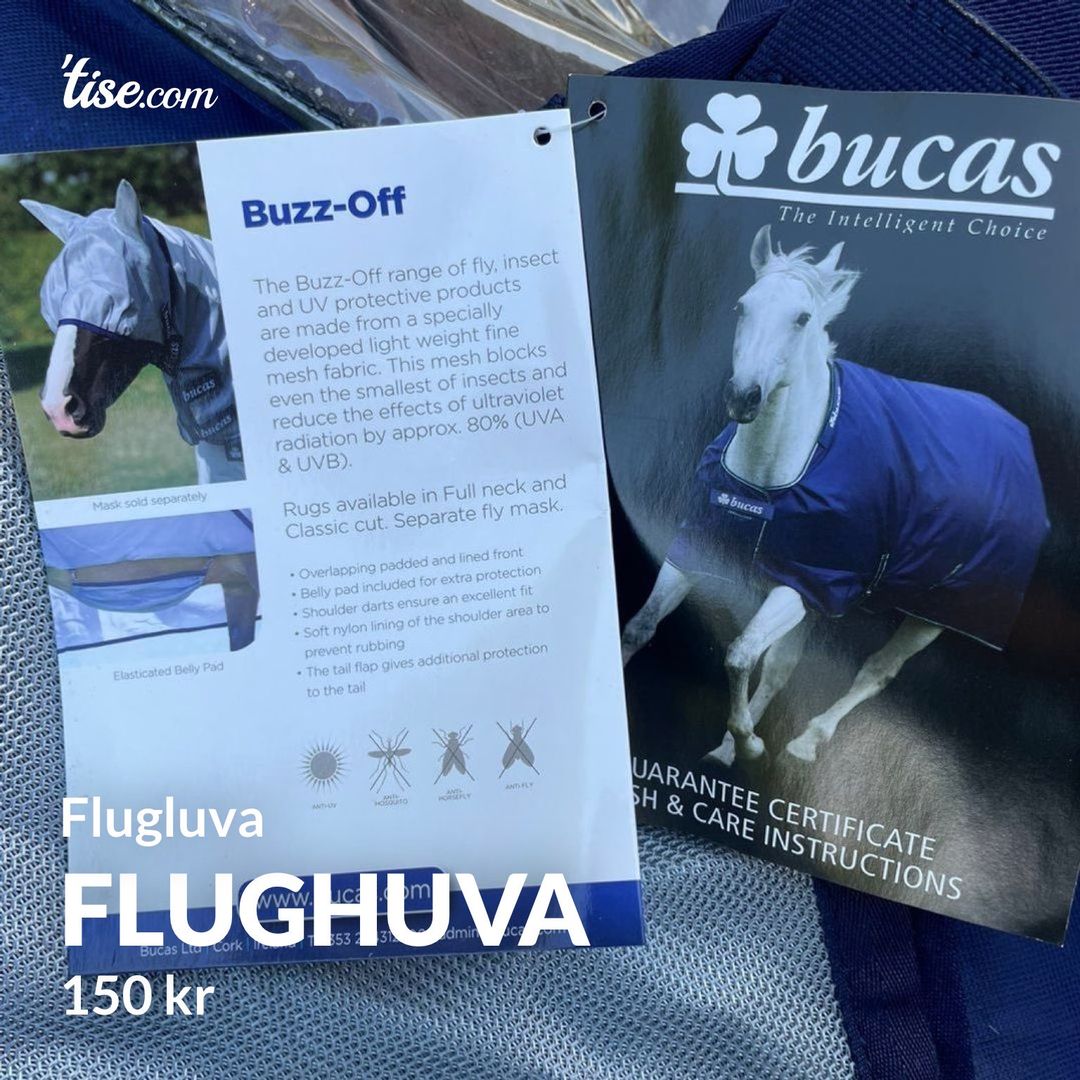 Flughuva