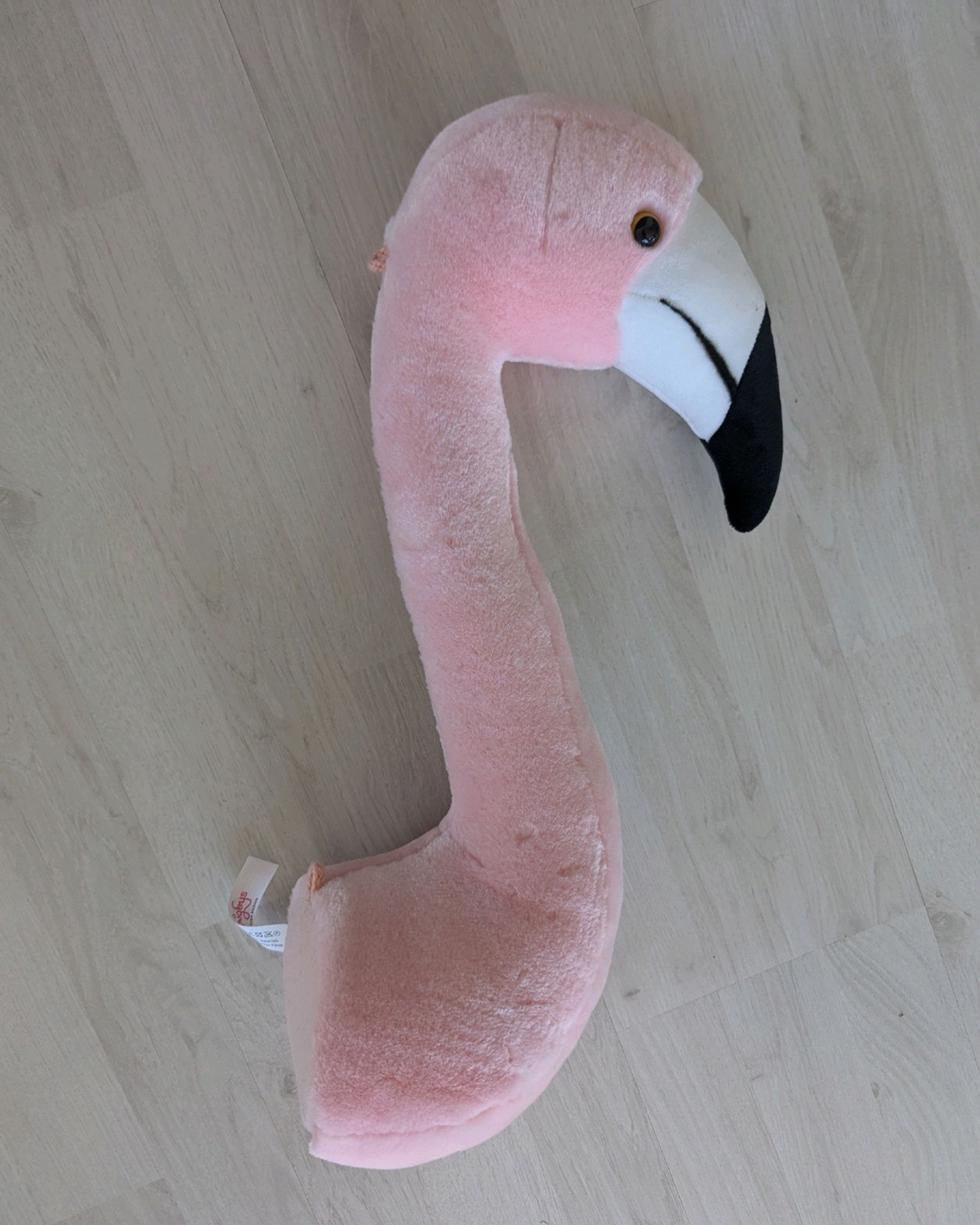 Brigbys Flamingo