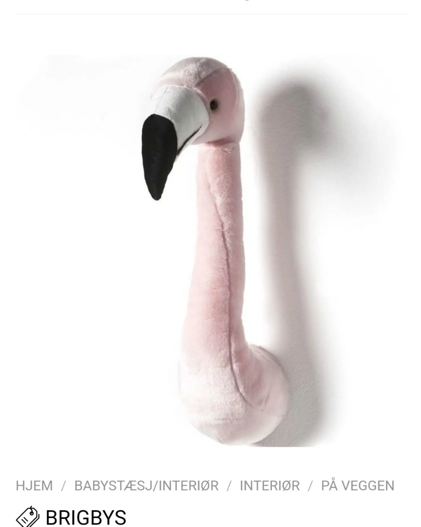 Brigbys Flamingo