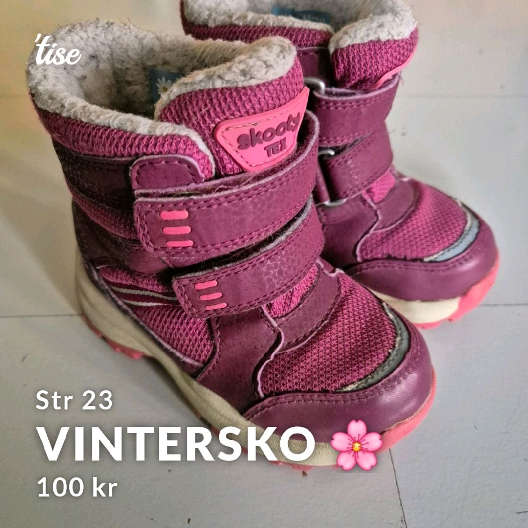 Vintersko 🌸