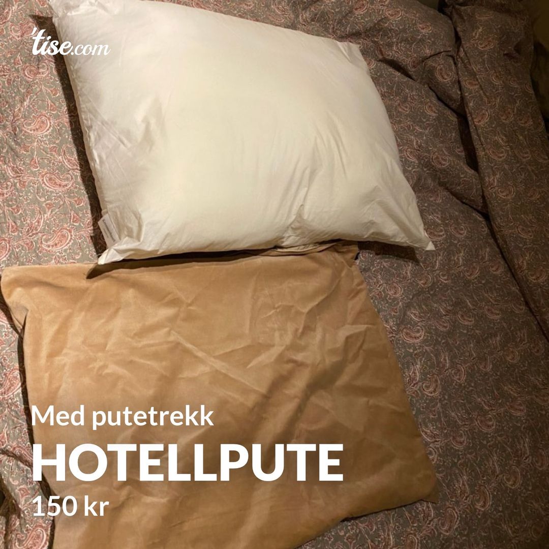 Hotellpute