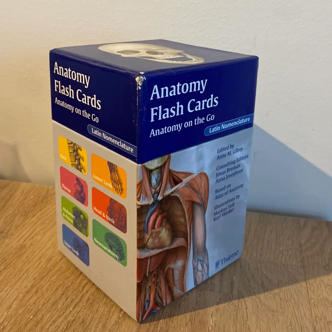 Anatomi flashcards