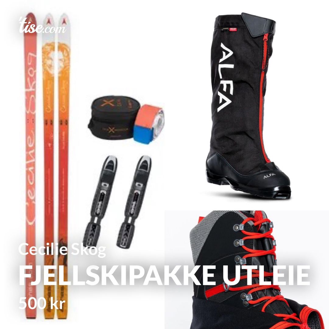 Fjellskipakke utleie