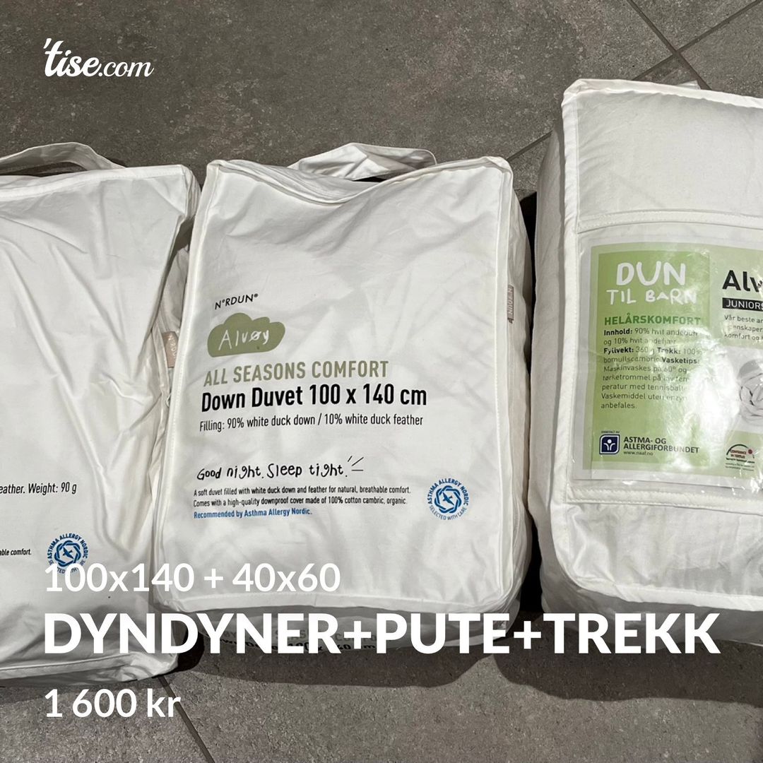 Dyndyner+pute+trekk