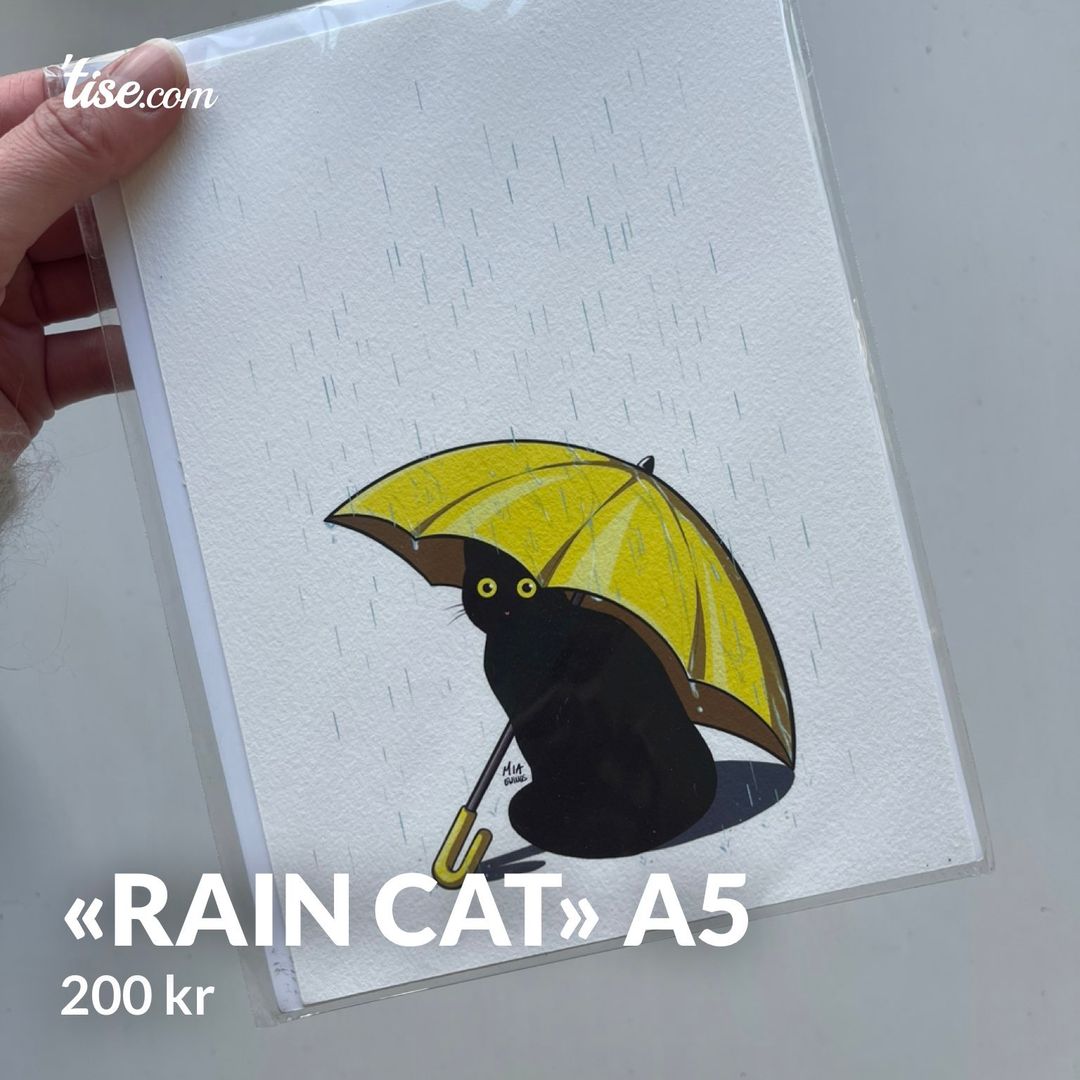 «Rain Cat» A5