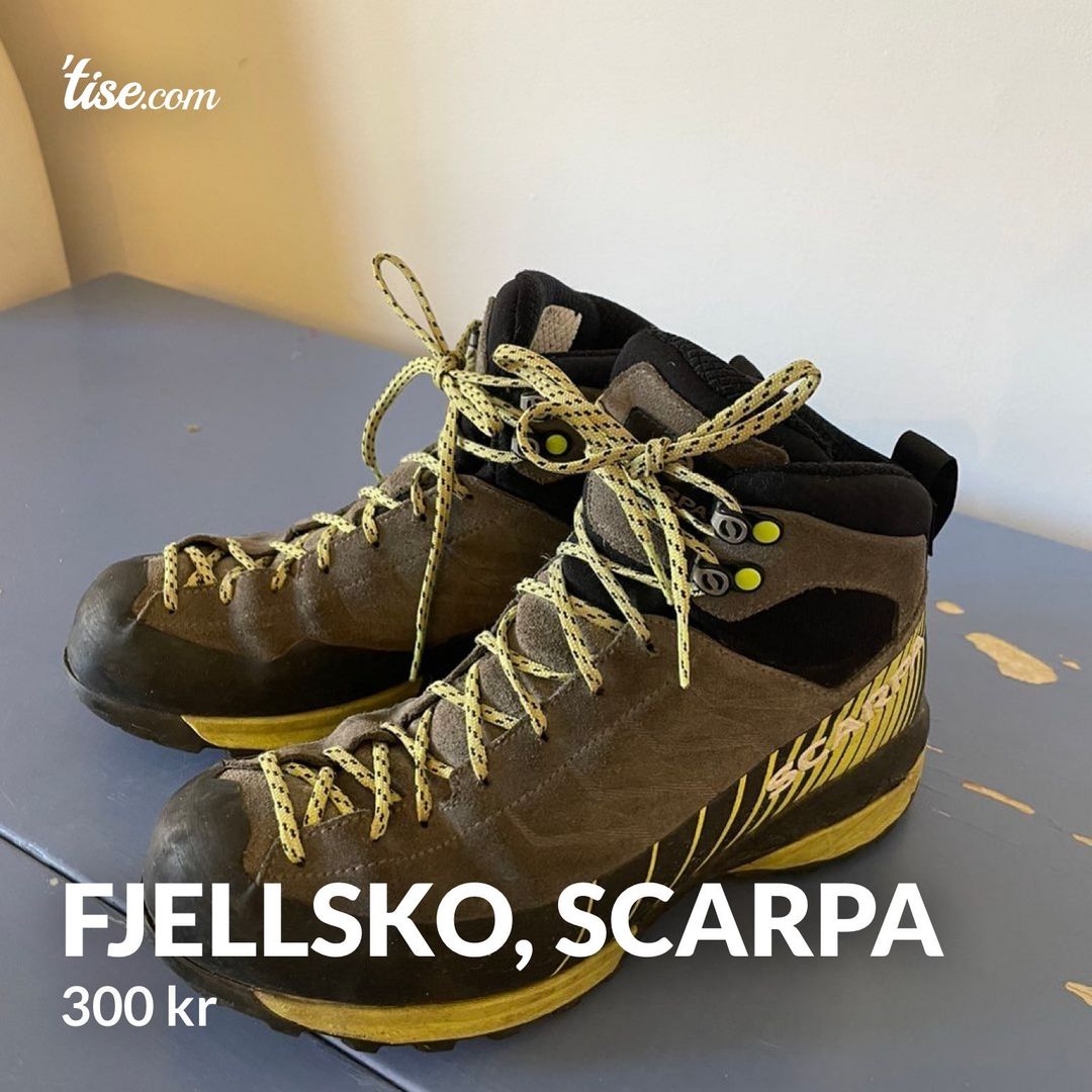 Fjellsko Scarpa