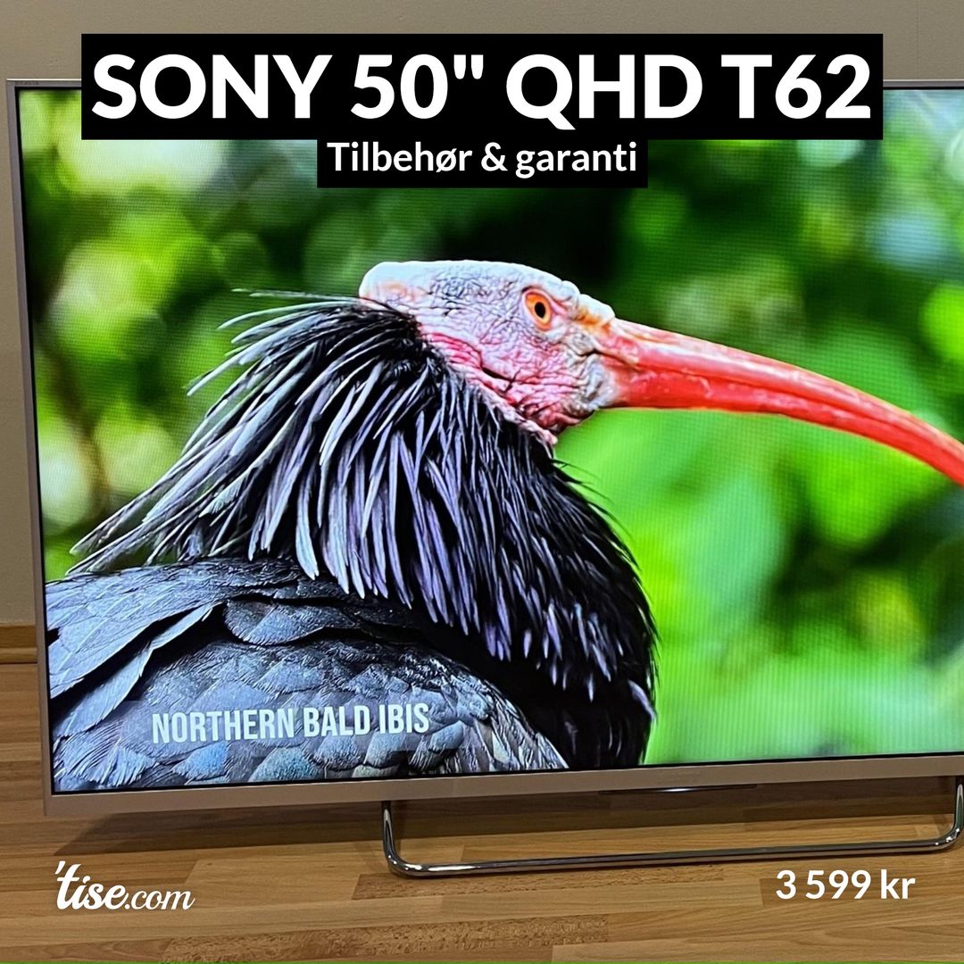 SONY 50" QHD T62