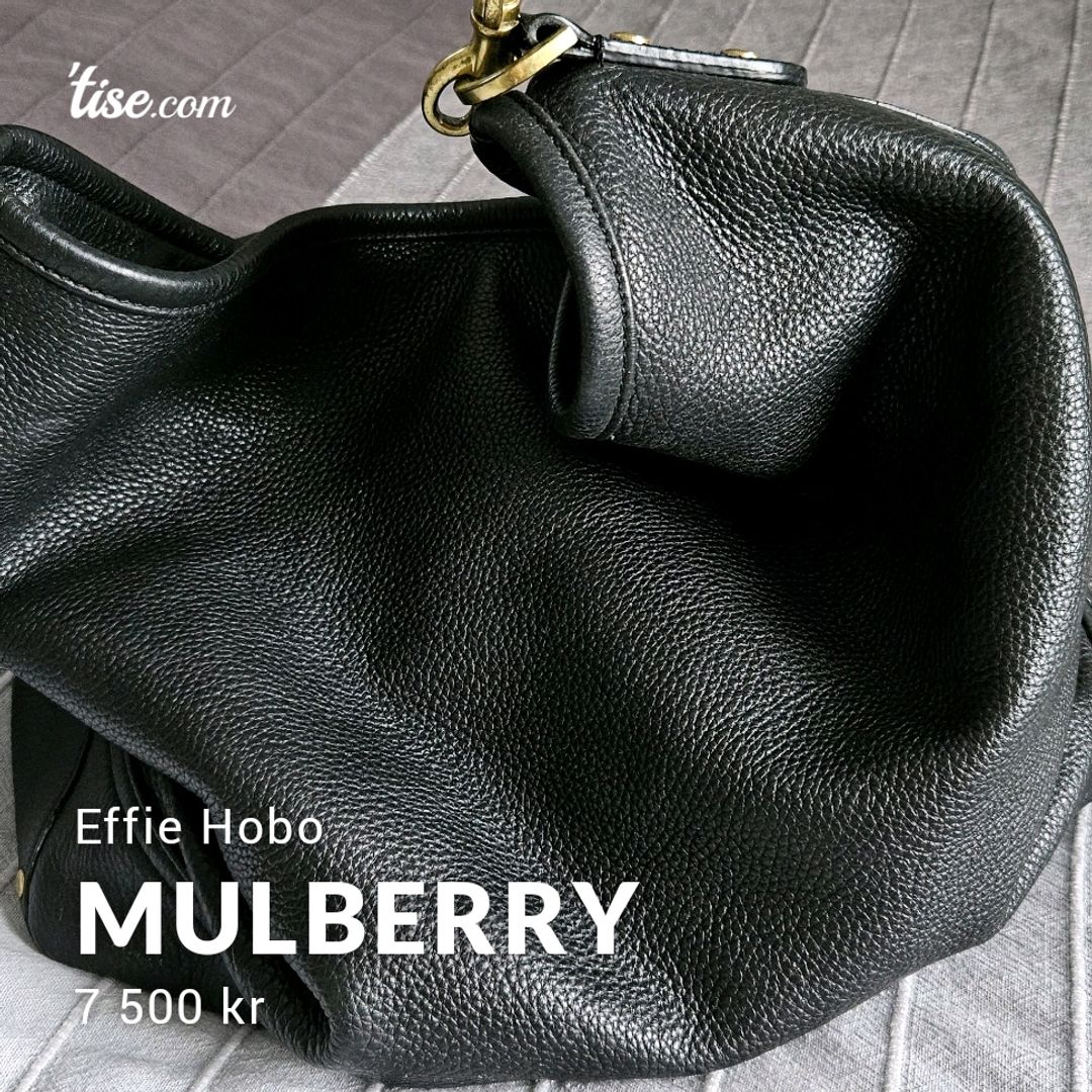 Mulberry