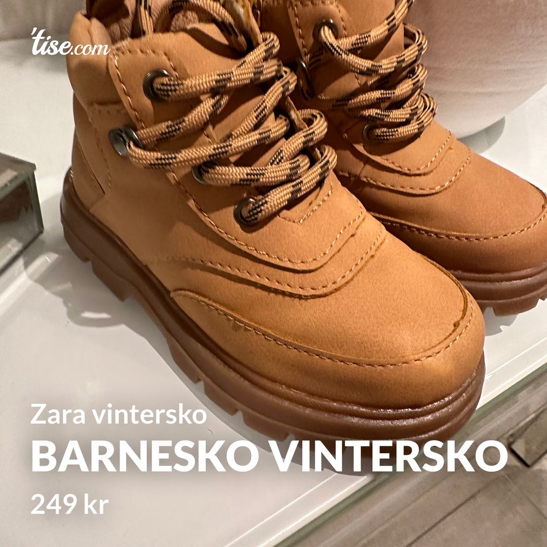 Barnesko Vintersko