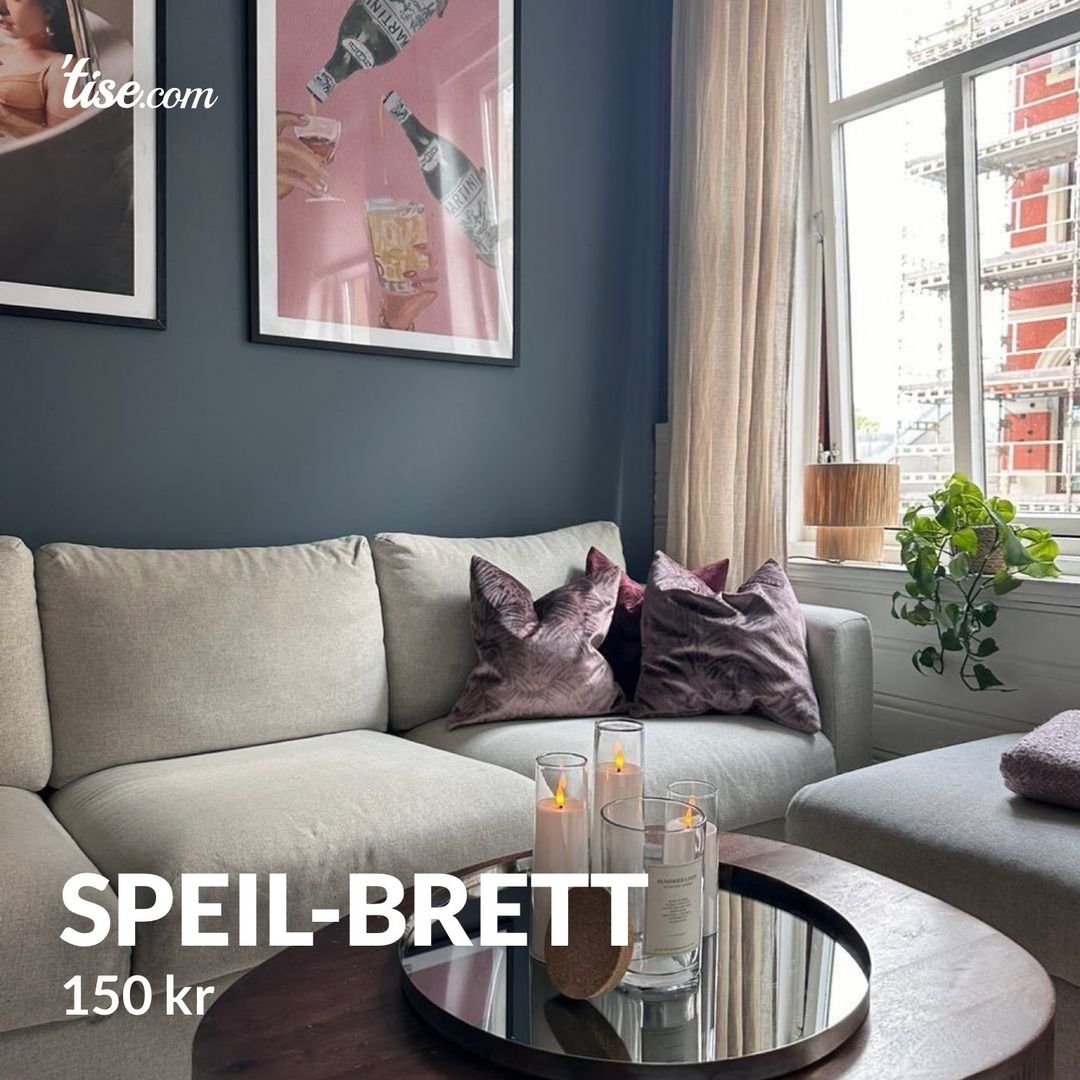 Speil-brett