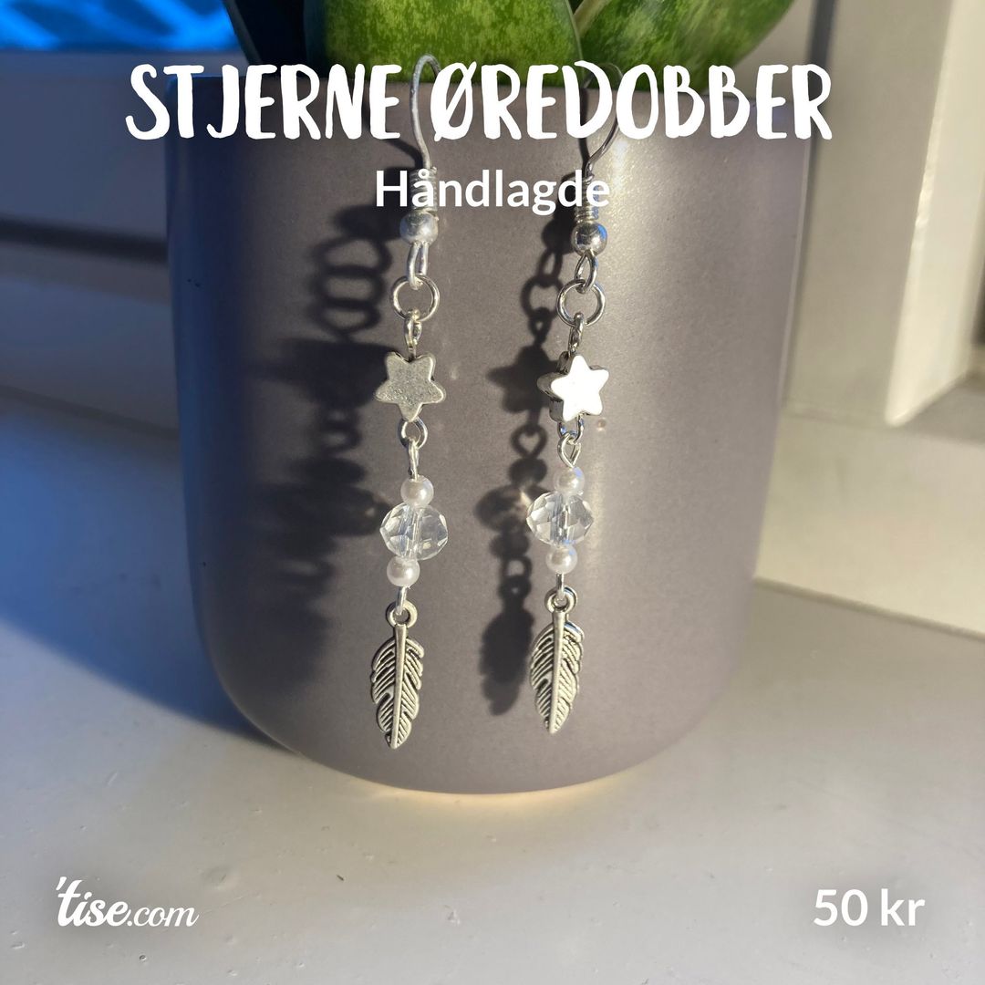 Stjerne øredobber